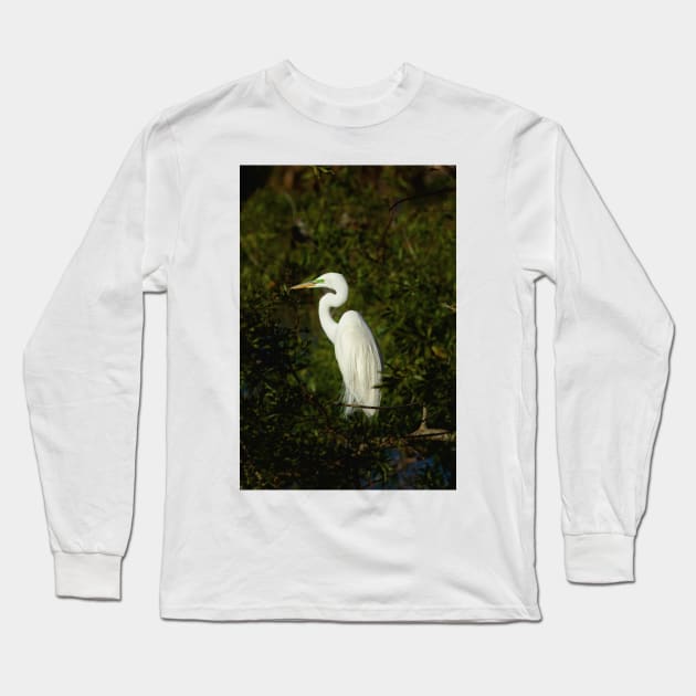 Great Egret Long Sleeve T-Shirt by irishmurr